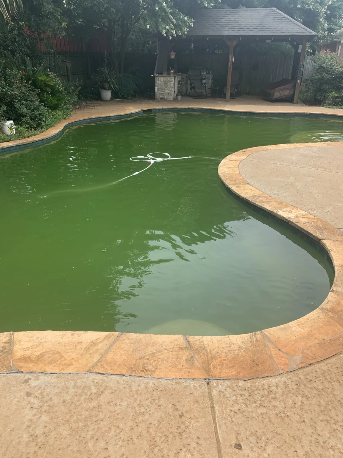 Clear residential pool maintained by Pristine Pool Solutions