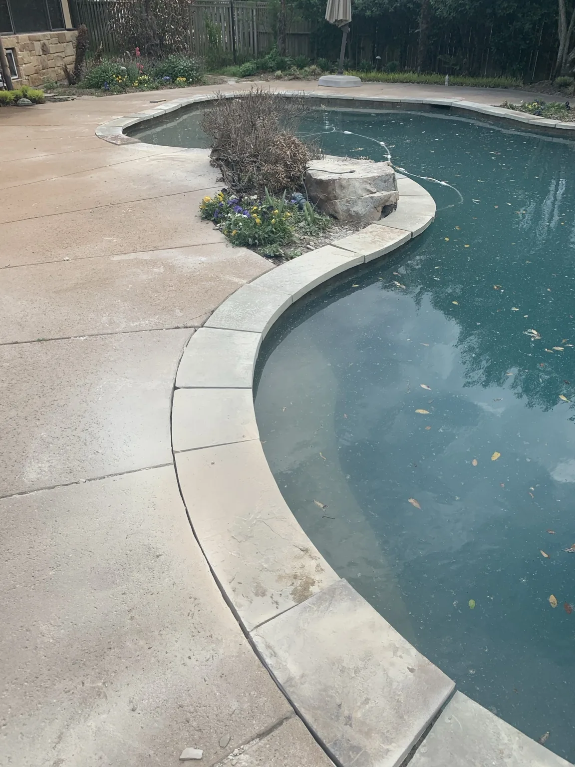 Clean East Texas backyard pool