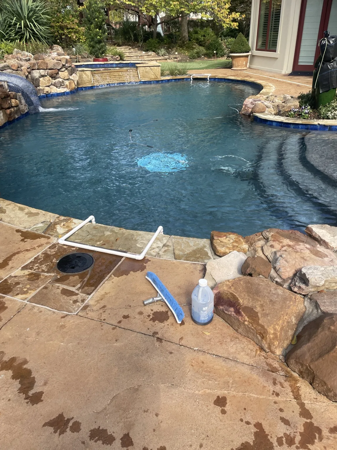 Clean backyard pool with landscaping