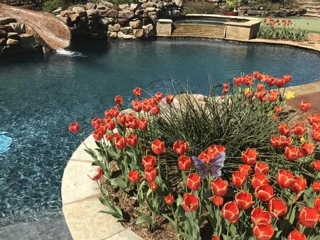 Remodel project