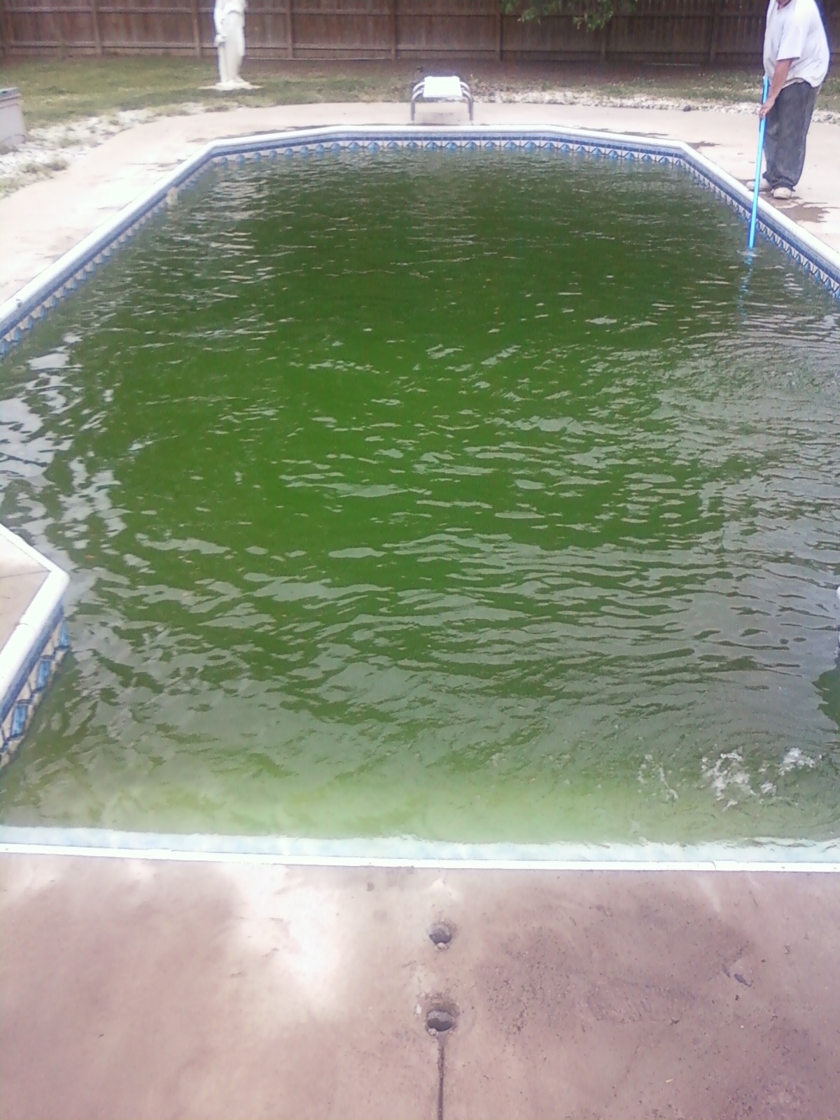 Residential swimming pool with green algae before professional recovery