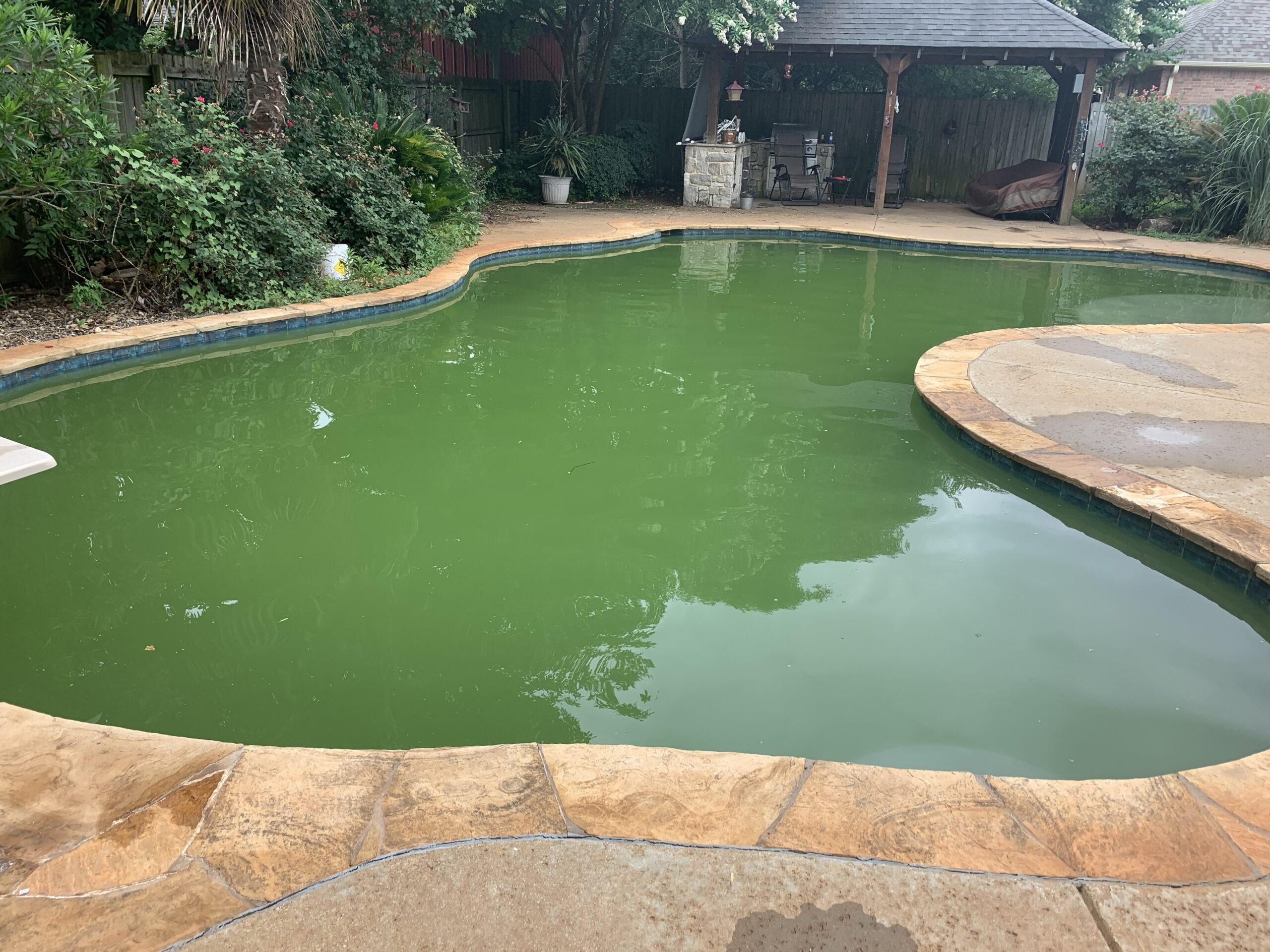 Residential swimming pool with green algae before professional recovery